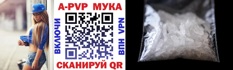 OMG вход Кашин Alpha-PVP крисы CK