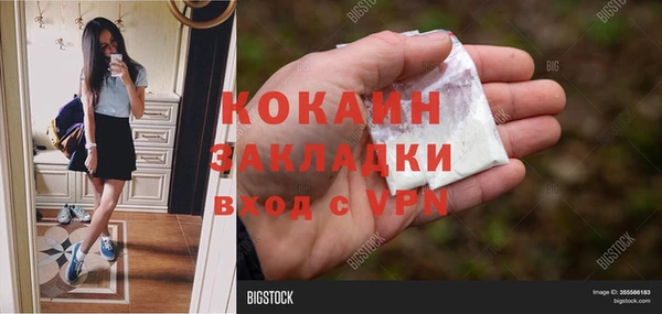 spice Алзамай