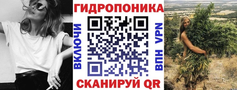 купить наркоту  Кашин  Марихуана Amnesia 